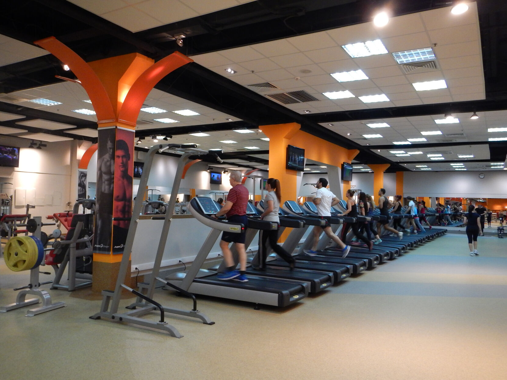 Gym, fitness equipment, treadmills, cardio